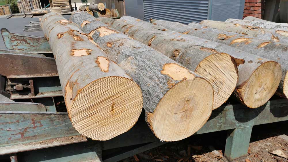 Stammware vom Sägewerk Selle