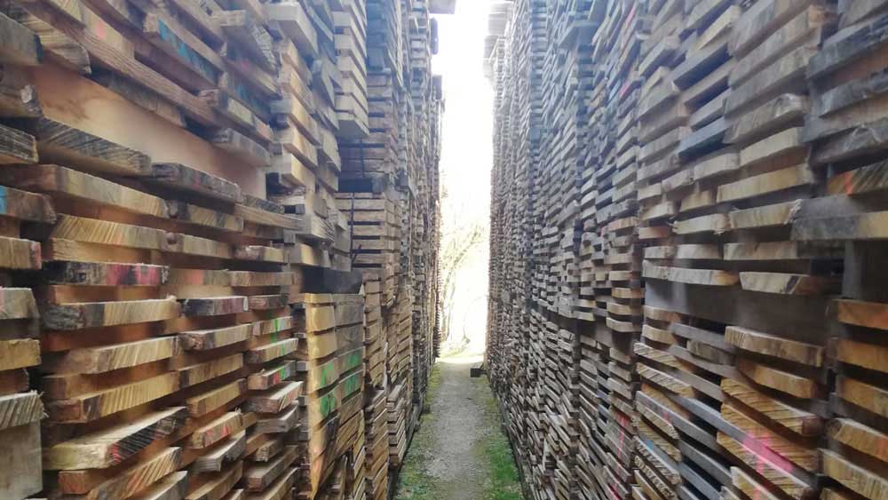 Holzlager mit Holzbohlen vom Sägewerk Selle